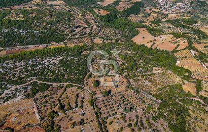 MENTEŞE DENİZOVA'DA SATILIK 7,186 TARLA