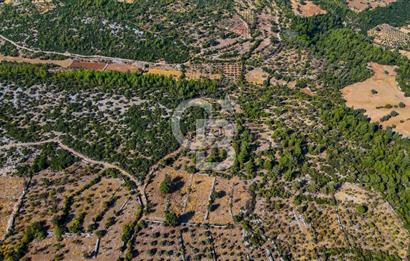 MENTEŞE DENİZOVA'DA SATILIK 7,186 TARLA