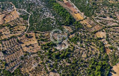 MENTEŞE DENİZOVA'DA SATILIK 7,186 TARLA