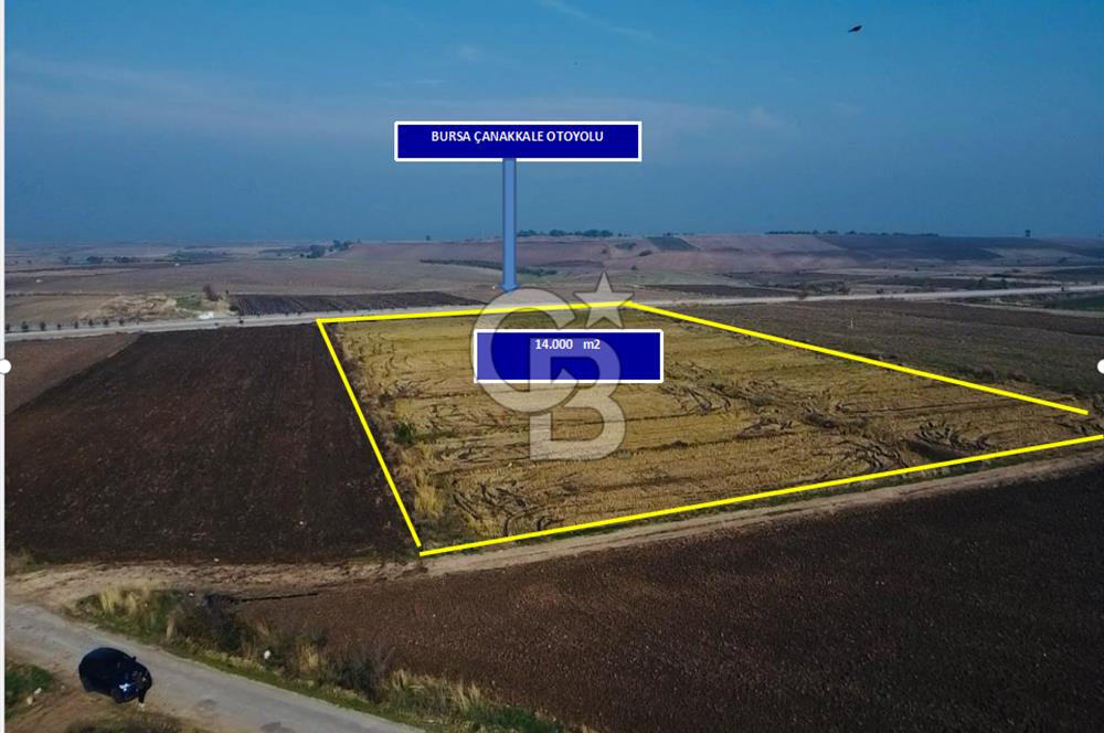 BİGA GÜVEMALAN OTOYOL CEPHELİ TARLA