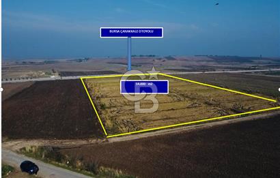 BİGA GÜVEMALAN OTOYOL CEPHELİ TARLA