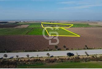 BİGA GÜMÜŞÇAY SATILIK TARLA - 4 - 312348