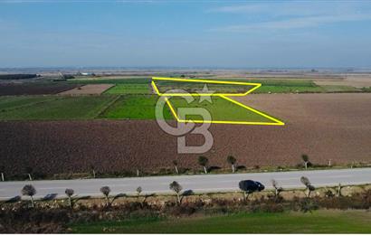 BİGA GÜMÜŞÇAY SATILIK TARLA