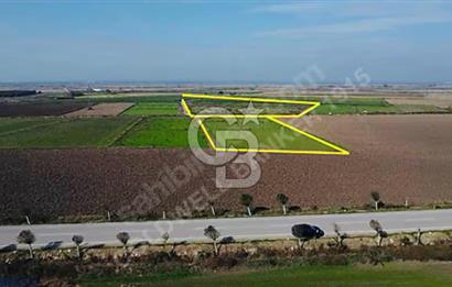 BİGA GÜMÜŞÇAY SATILIK TARLA