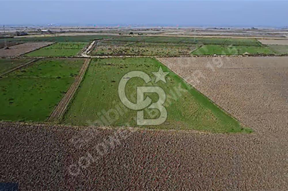 BİGA GÜMÜŞÇAY SATILIK TARLA