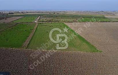 BİGA GÜMÜŞÇAY SATILIK TARLA