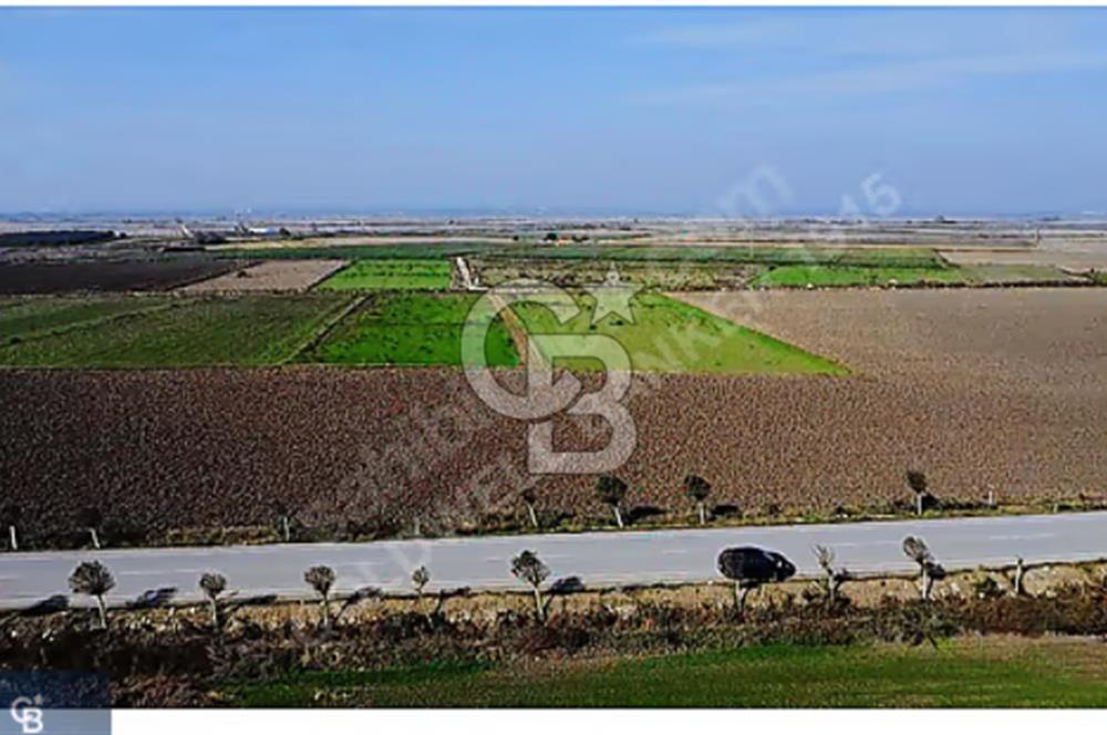 BİGA GÜMÜŞÇAY SATILIK TARLA