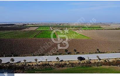 BİGA GÜMÜŞÇAY SATILIK TARLA