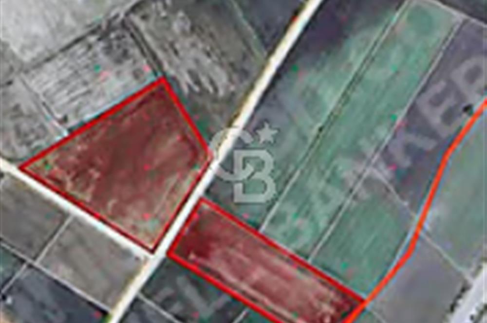 BİGA GÜMÜŞÇAY SATILIK TARLA