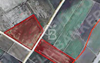 BİGA GÜMÜŞÇAY SATILIK TARLA