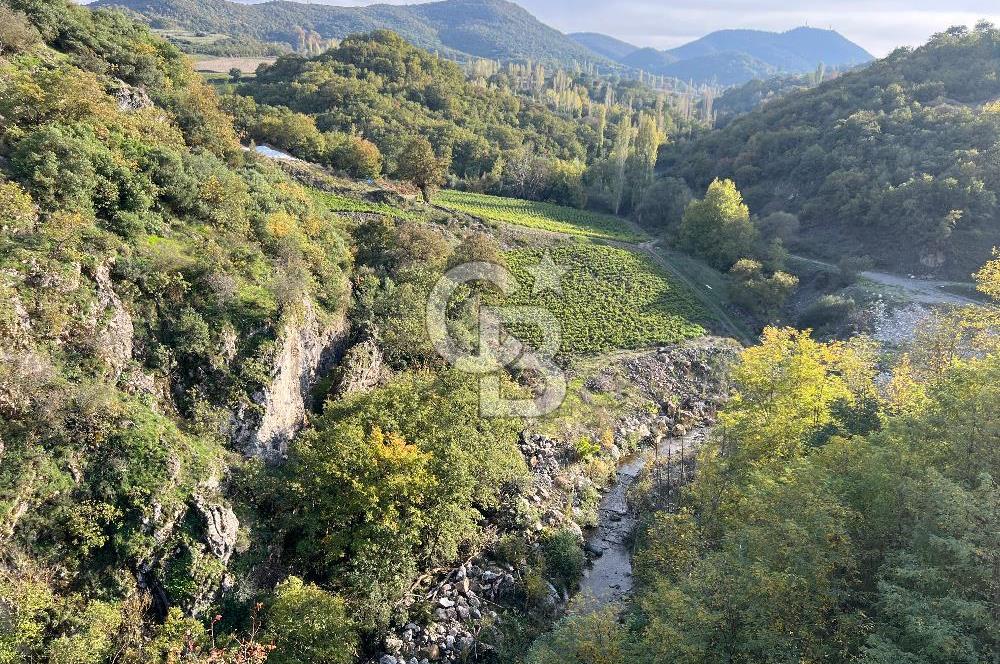Balıkesir’de Acilen Satılık içinde Kargir Lokanta bulunan Tesis
