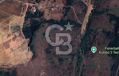 GEBZE MOLLAFENARİ AKVİRAN'DA 241 M2 TAPULU YOLA CEPHE HİSSELİ