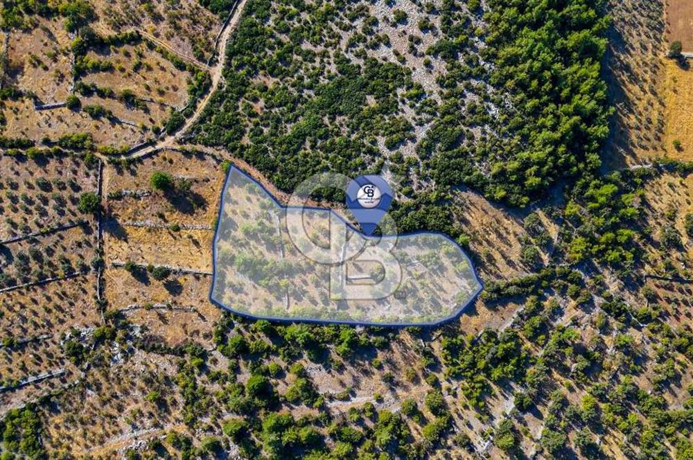 MENTEŞE DENİZOVA'DA SATILIK 7,186 TARLA