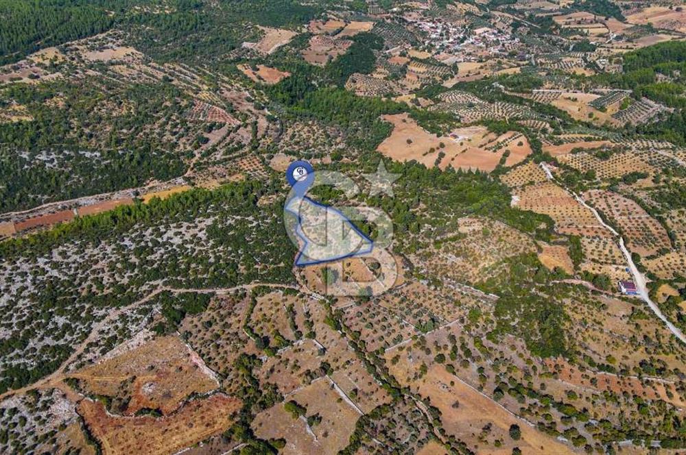 MENTEŞE DENİZOVA'DA SATILIK 7,186 TARLA