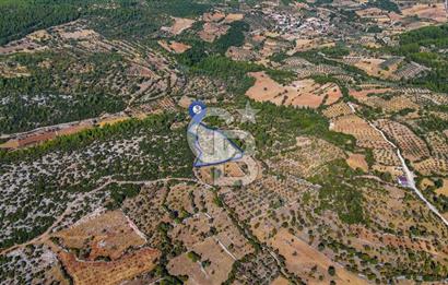 MENTEŞE DENİZOVA'DA SATILIK 7,186 TARLA