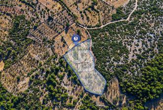 MENTEŞE DENİZOVA'DA SATILIK 7,186 TARLA - 8 - 312394