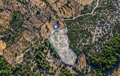 MENTEŞE DENİZOVA'DA SATILIK 7,186 TARLA