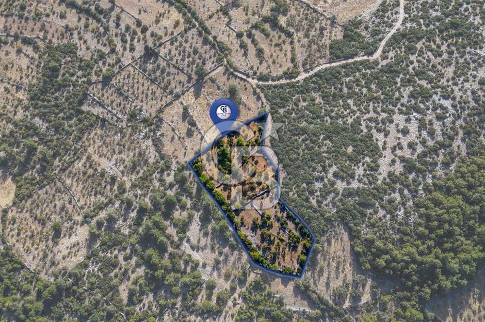 MENTEŞE DENİZOVA'DA SATILIK 7,186 TARLA