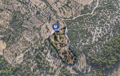 MENTEŞE DENİZOVA'DA SATILIK 7,186 TARLA