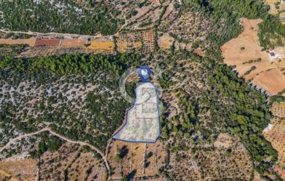 MENTEŞE DENİZOVA'DA SATILIK 7,186 TARLA