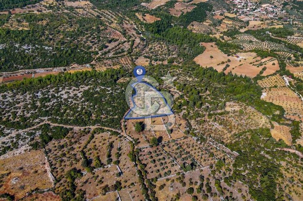 MENTEŞE DENİZOVA'DA SATILIK 7,186 TARLA