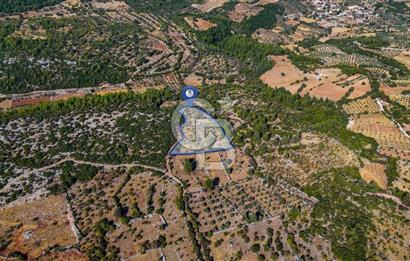 MENTEŞE DENİZOVA'DA SATILIK 7,186 TARLA