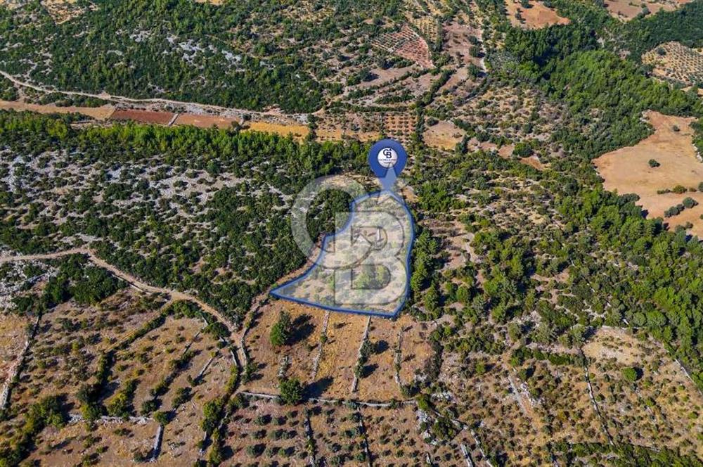 MENTEŞE DENİZOVA'DA SATILIK 7,186 TARLA