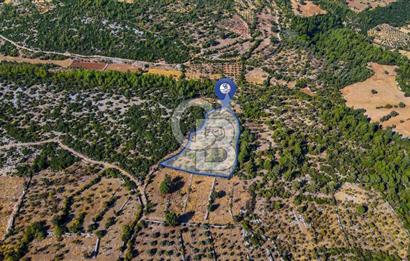 MENTEŞE DENİZOVA'DA SATILIK 7,186 TARLA