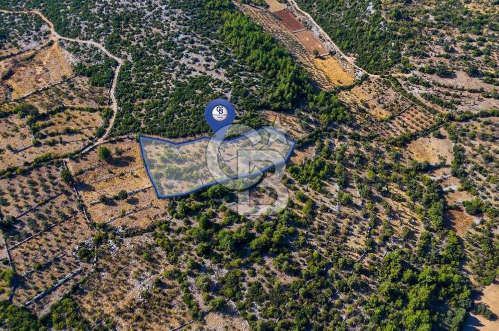 MENTEŞE DENİZOVA'DA SATILIK 7,186 TARLA