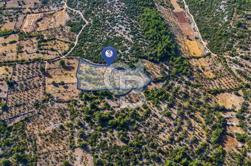 MENTEŞE DENİZOVA'DA SATILIK 7,186 TARLA