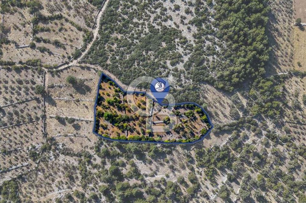 MENTEŞE DENİZOVA'DA SATILIK 7,186 TARLA