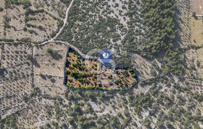 MENTEŞE DENİZOVA'DA SATILIK 7,186 TARLA