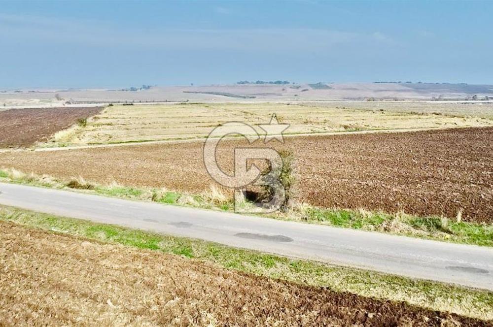 BİGA GÜVEMALAN OTOYOL CEPHELİ TARLA