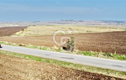 BİGA GÜVEMALAN OTOYOL CEPHELİ TARLA