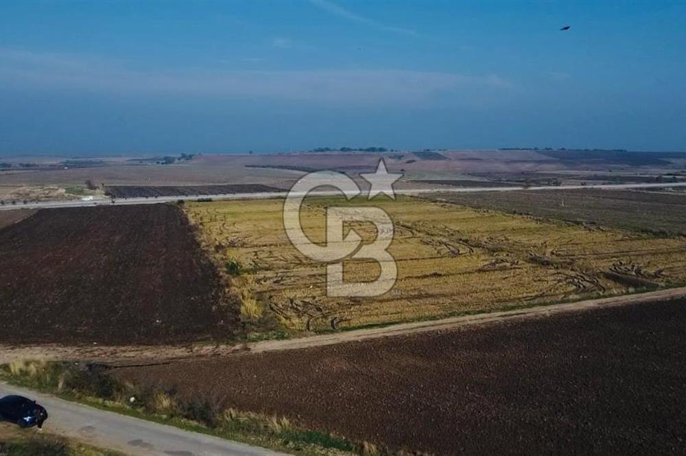BİGA GÜVEMALAN OTOYOL CEPHELİ TARLA