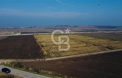 BİGA GÜVEMALAN OTOYOL CEPHELİ TARLA