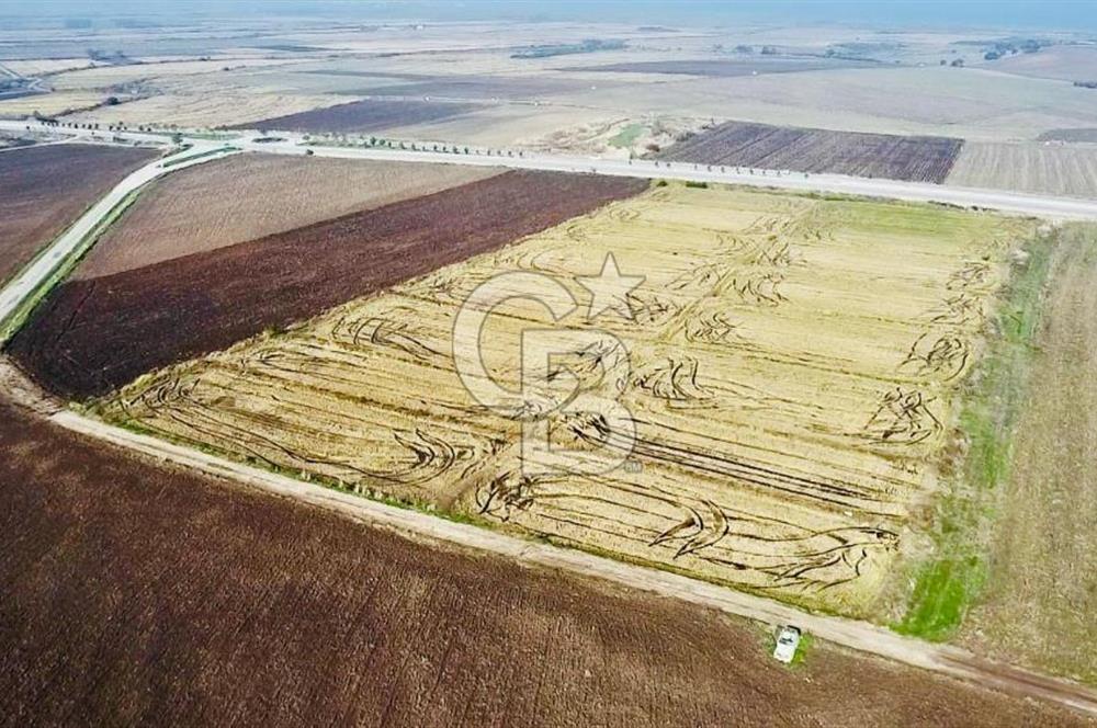 BİGA GÜVEMALAN OTOYOL CEPHELİ TARLA