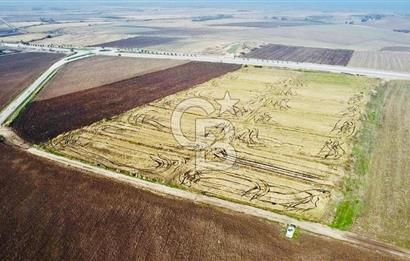 BİGA GÜVEMALAN OTOYOL CEPHELİ TARLA
