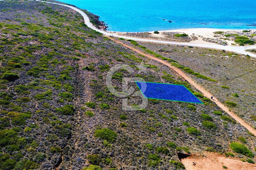 ÇANAKKALE BOZCAADA`DA DOĞAYLA İÇ İÇE 318 m² SATILIK ARSA