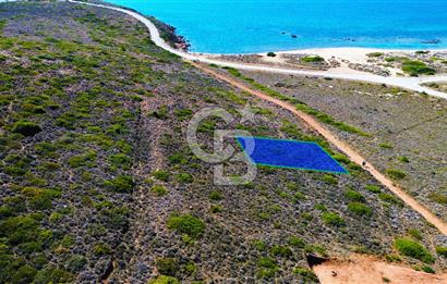 ÇANAKKALE BOZCAADA`DA DOĞAYLA İÇ İÇE 318 m² SATILIK ARSA
