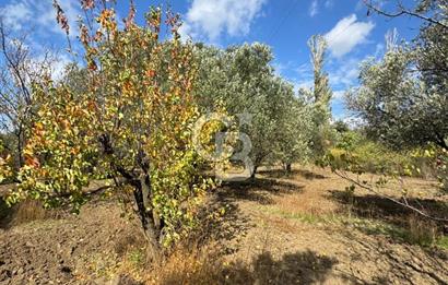 ÇANAKKALE GÖKKÖY'DE 42 DÖNÜM SULU ÖZEL ÜRÜN SINIFINDA EMSALSİZ TARLA 