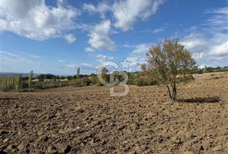 ÇANAKKALE GÖKKÖY'DE 42 DÖNÜM SULU ÖZEL ÜRÜN SINIFINDA EMSALSİZ TARLA  - 3 - 312438