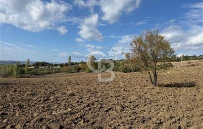 ÇANAKKALE GÖKKÖY'DE 42 DÖNÜM SULU ÖZEL ÜRÜN SINIFINDA EMSALSİZ TARLA 
