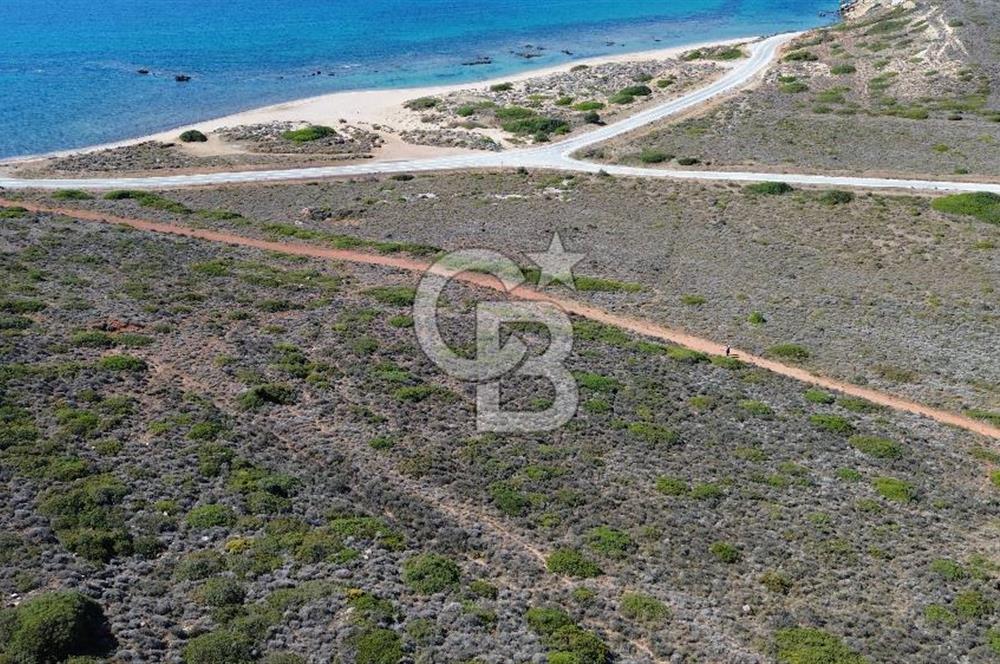 ÇANAKKALE BOZCAADA`DA DOĞAYLA İÇ İÇE 318 m² SATILIK ARSA