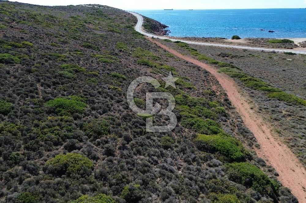 ÇANAKKALE BOZCAADA`DA DOĞAYLA İÇ İÇE 318 m² SATILIK ARSA