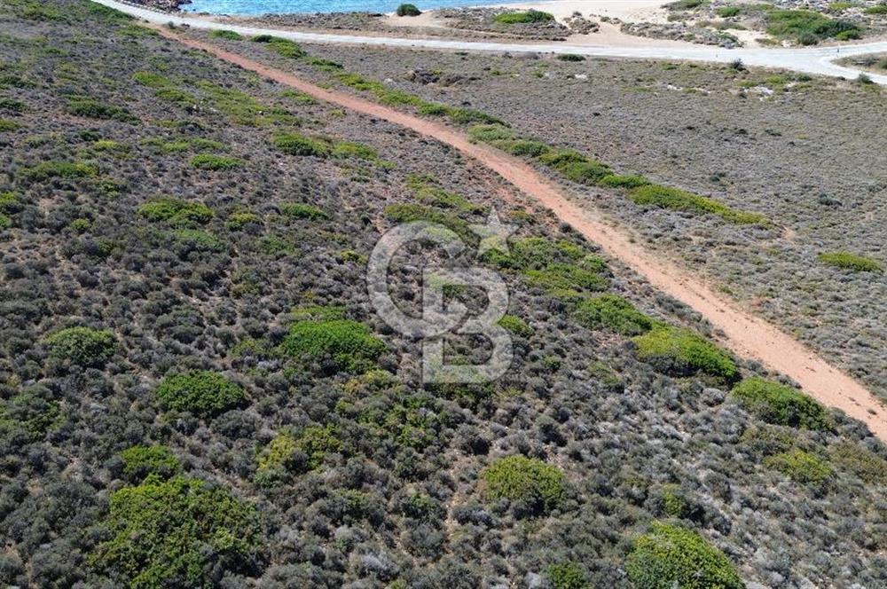 ÇANAKKALE BOZCAADA`DA DOĞAYLA İÇ İÇE 318 m² SATILIK ARSA