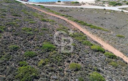 ÇANAKKALE BOZCAADA`DA DOĞAYLA İÇ İÇE 318 m² SATILIK ARSA