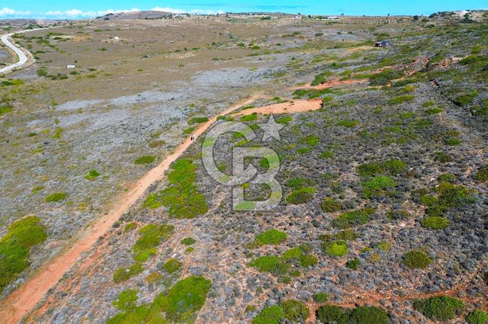 ÇANAKKALE BOZCAADA`DA DOĞAYLA İÇ İÇE 318 m² SATILIK ARSA