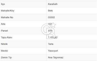 Acıpayam Akalan Mh. 1.216 M² Satılık Tarla-Bağ