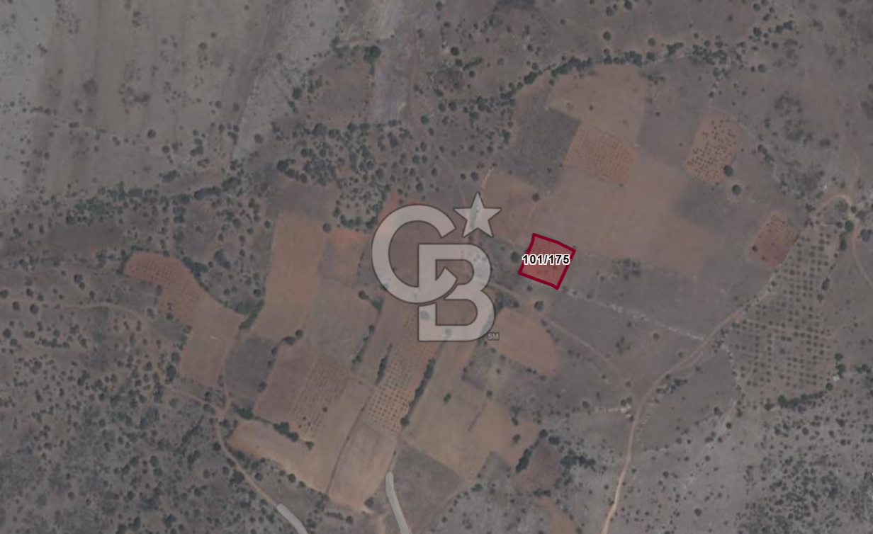 Acıpayam Akalan Mh. 1.216 M² Satılık Tarla-Bağ